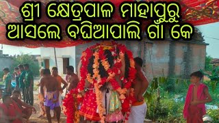 Baghia pali sree khetrapal jatra 2023##