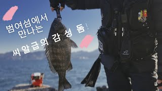 가덕도 범여섬! 엄청나게 올라옵니다~정말 많다 정말 많아~