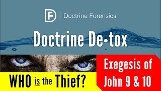 Who is the Thief? Understanding John 9 \u0026 10