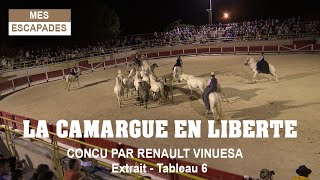 LA CAMARGUE EN LIBERTE - Un spectacle époustouflant de Renaud Venuesa - Extrait - 4K