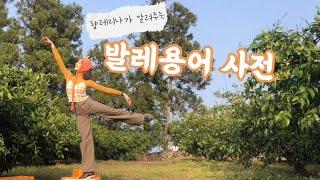 [움직이는 발레사전] 발레용어 어려우시다구요~?! 향레리나가 알려주는 발레용어 D,E편!