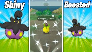 HOW TO GET SHINY SMOLIV IN POKEMON GO! Catching Shiny Pumpkaboo has Never Been EASIER!