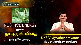 Positive Energy தரும் நாயுருவி விதை தாந்த்ரீக பூஜை! Dr.S.Vijay Sethu Narayanan | PuthuyugamTV