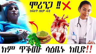 👩‍⚕️ ቆጽሊ ሞሪንጋ ክትጥቀሙ ዘይግባኣኩም  / ሓበሬታ ካብ ዶክተር