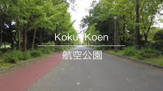 [4K] Koku-Koen 航空公園 [Saitama 埼玉] [Walk 散歩] #22