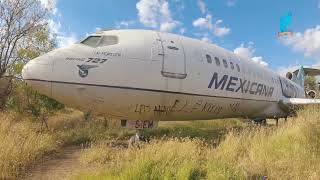 EXPLORE UN AVION ABANDONADO EN MEDIO DEL BOSQUE