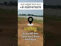 ready to build open plots in tadepalli apcrda prime location in tadepalli sales 91 8297475678