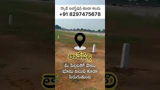 Ready-to-Build Open Plots in Tadepalli | APCRDA | Prime Location in Tadepalli | Sales +91 8297475678