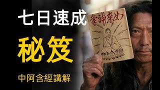 中阿含經講解08 四念處 四念住 七覺支 正念冥想 七日速成秘笈