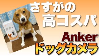 【良コスパ】Ankerのドッグカメラ「Eufy Dog Camera D605」をレビューします。性能と完成度を考えると妥当です