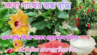 স্তব্ধ বৃদ্ধি দ্রুত নতুন পাতা হাজারো কুঁড়ি,২ টাকায় সাত দিনে দরকারে দিতে পারেন।