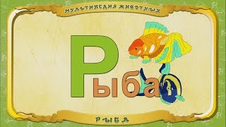 Мультипедия животных. Буква Р -  Рыба