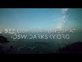 #IDSW2020