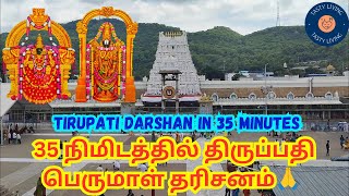 35 நிமிடத்தில் திருப்பதி பெருமாள் தரிசனம்🙏Tirupati Darshan in 35 Minutes|Tirupati VLOG|Tasty Living