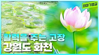 활력을 주는 고장 강원도 화천 | 테마기행길