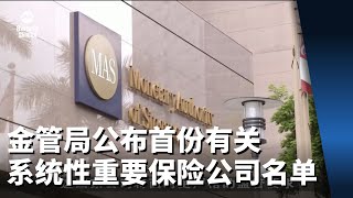 金管局公布首份“新加坡国内系统性重要保险公司”名单和框架