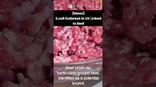 【News】E. coli Outbreak in UK Linked to Beef