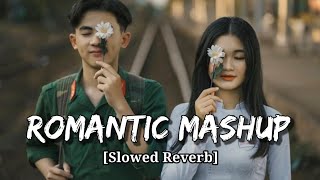 Romantic lofi Mashup | Feel the Love Song [slowed reverb] | Mashup Song 2023