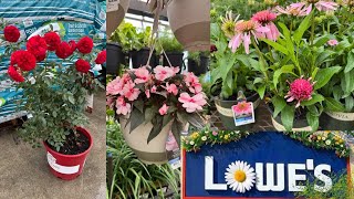 LOWES BEST NEW PLANTS ARRIVALS FOR SUMMER AND MEMORIAL DAY * HOW TO MAKE YOUR GARDEN BEAUTIFUL?