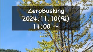 제로버스킹 241110 스트리밍(zerobusking Live Streaming)