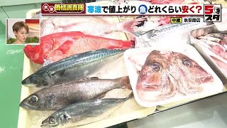 【価格調査】魚は寒波の影響から供給が回復傾向　マダイ、サバ、キンメダイの価格が安定 (2023年2月9日)