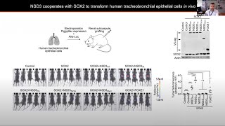 Webinar - New BLI Methods used to identify Molecular Drivers of Cancer Pathogenesis with Dr. Mazur