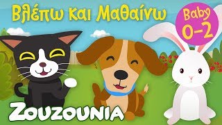 Βλέπω και Μαθαίνω #7 | Τα Ζωάκια του Σπιτιού μας 🐶🐱🐰Εκπαιδευτικό