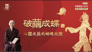 【秒懂楞嚴 #797日】總結想陰魔害，悲救報恩。(汝今未須先取寂滅。…名報佛恩)  見輝法師