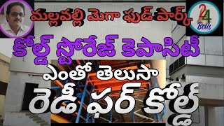 Apiic mallavalli#cold storage||central procese unit#atchut#24bells