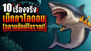 10 เรื่องจริง เม็กกาโลดอน (Megalodon) ฉลามยักษ์โบราณ ~ LUPAS