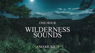 1 Hour Eerie Sounds Of The Wilderness - Wolf, Elk, \u0026 Loon Call (With Other Mysterious Creatures!)👣👹🐾