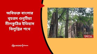 অবিভক্ত বাংলার বৃহত্তম গুনুটিয়া নীলকুঠির ইতিহাস বিলুপ্তির পথে | ETVBharat West Bengal