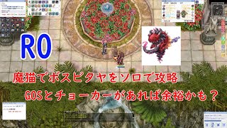 RO 魔猫　ボスピタヤ攻略