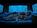Rain Sounds for Sleeping ⚡ Cozy Car Rain and Gentle Thunder for Deep Sleep and Relaxation