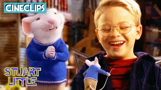 Brotherly Bonding  | Stuart Little | CineStream