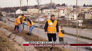 Aksion për mbjelljen e pemëve - News, Lajme - Vizion Plus