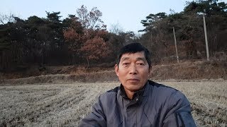 논농사 200평 수입과 지출은 얼마나 될까요? (품종 및 재배기술, 병해충방재)