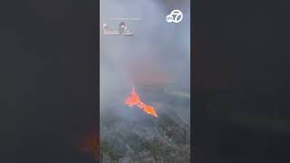 Fast-moving CA fire destroys Pacific Palisades homes