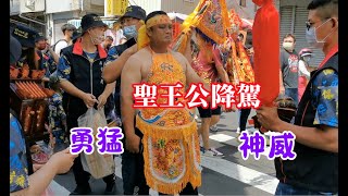 #屏東保尊殿廣澤尊王降駕操寶參拜祖廟 全記錄 20220828