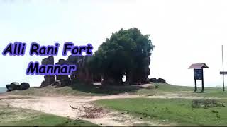 The fort of Alli rani