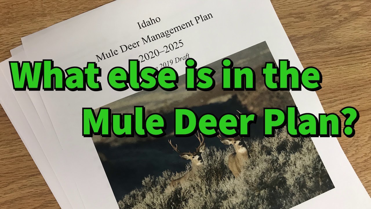 Idaho's 2019 Mule Deer Plan - YouTube