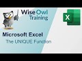 Microsoft Excel - The UNIQUE Function