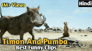 Timon And Pumba Best Funny Clips in Hindi | Hollywood Hindi Dubbed Funny Clips