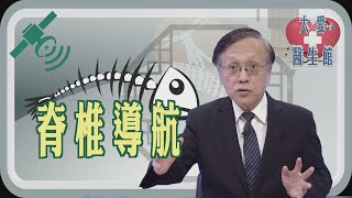 【大愛醫生館】 脊椎導航 20241119