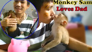 Monkey Baby Love Milk And Asking For His Father Wh...