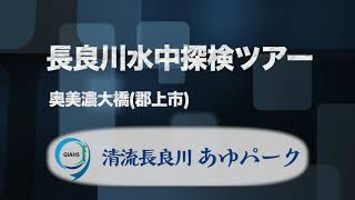 長良川水中探検ツアー： 奥美濃大橋付近