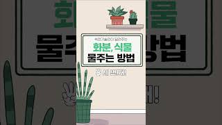 [기식인 6화] 실내에서 키우는 식물별 물 주기 방법 알려주세요! #shorts #숙련기술인 #화분물주는방법