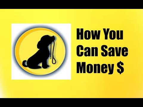 How Much Does Dog Training Cost - You Need To Know How Much You Can Expect to Spend How Much Does Dog Training Cost - You Need To Know How Much You Can Expect to Spend