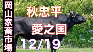 子牛 紹介 12/19岡山家畜市場 秋忠平 愛之国🐃 dairy 大阪 堺市 酪農 牧場ホルスタインcalf birth 家畜商 家畜運搬車 Japanese Dairy farming 家畜運搬車