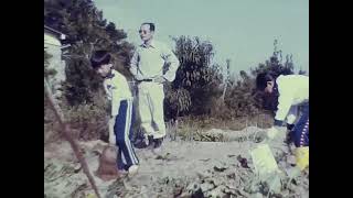 【実録８mmフィルム映像】さつま芋掘り（昭和55年 秋）－昭和のとある家族－ほのぼの documentary Japan  family1980